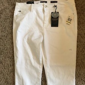 Curve Appeal Jeggings